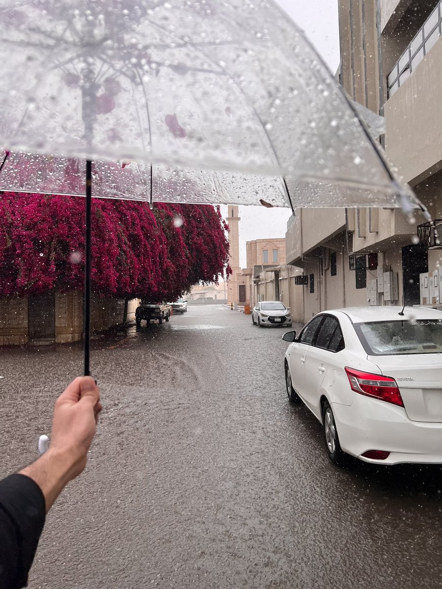 عبدالله tweet media