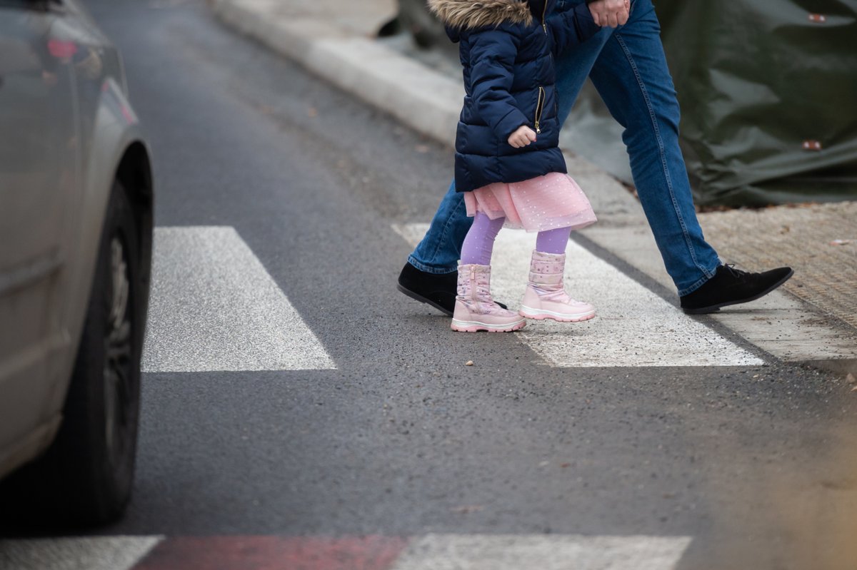 ZDM Warszawa tweet media