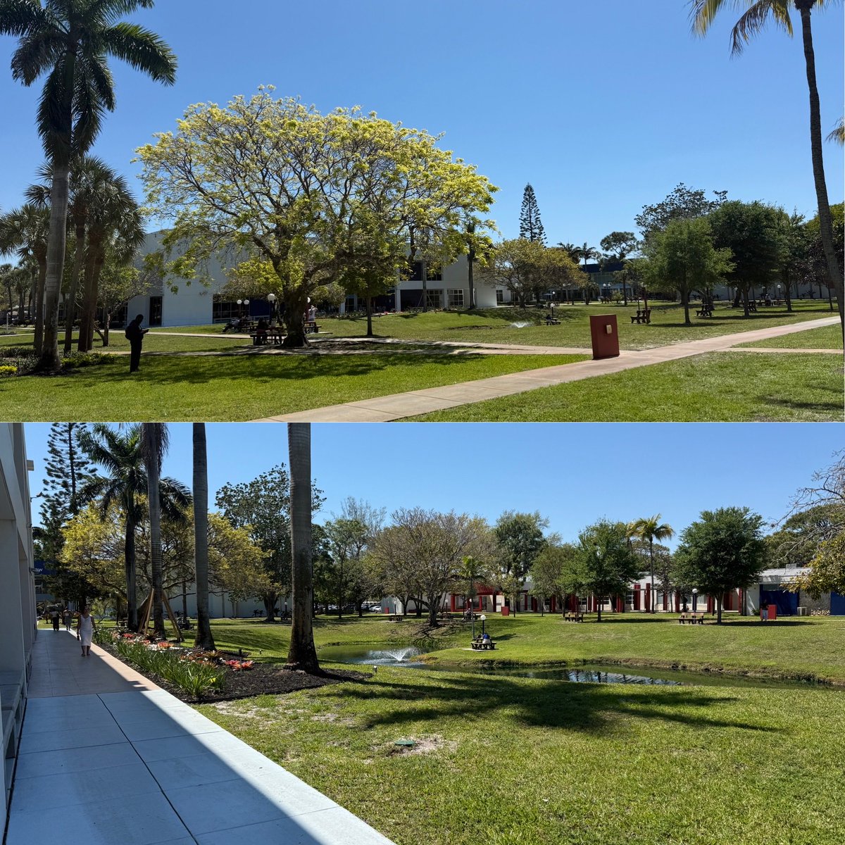STUPrez's tweet image. It was a glorious day to be on campus at STU yesterday, with sunshine and a perfect blue sky!

#STUMiami #CampusLife #SouthFlorida #BeautifulDay #BobcatNation