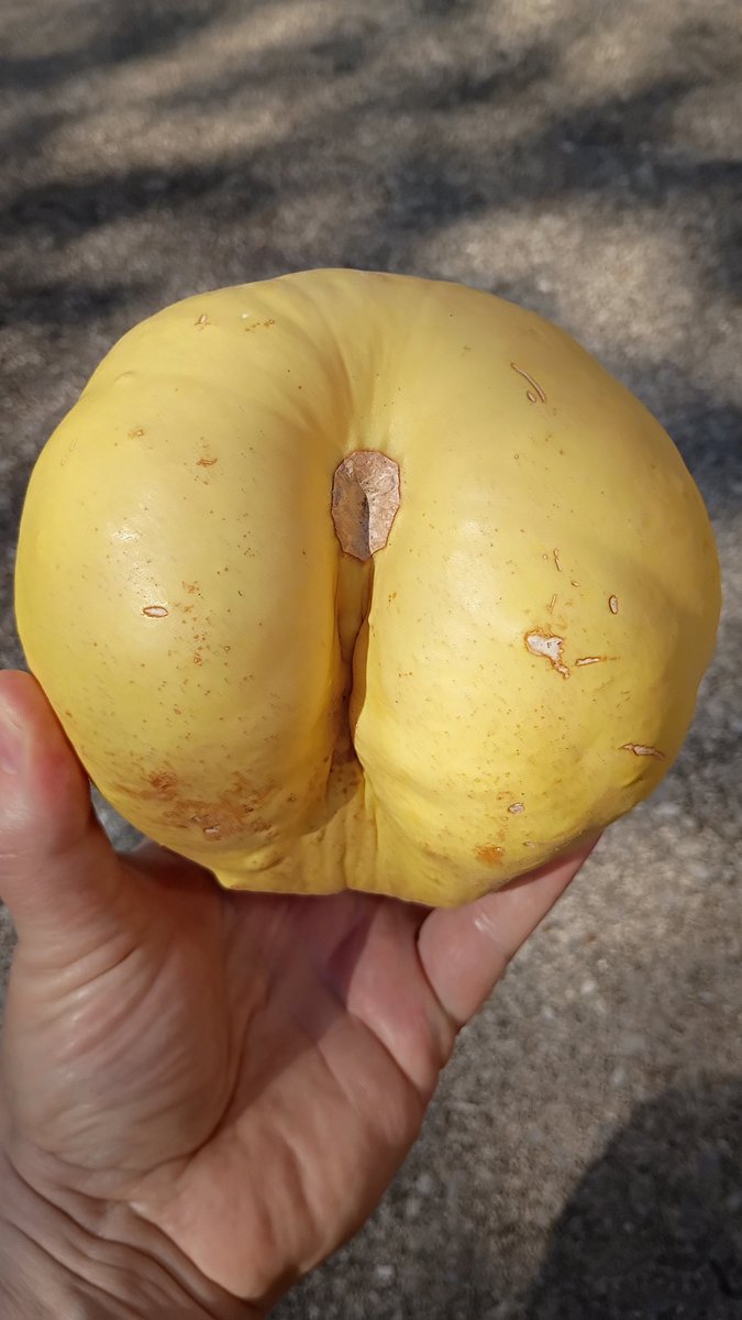 Jared Manning tweet media