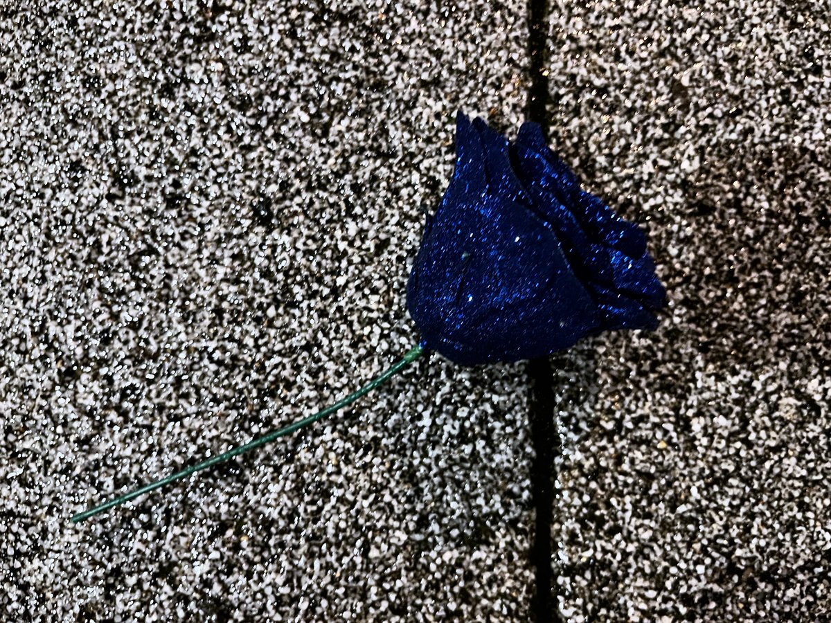 𝙼𝙿𝙴𝙶-𝟽 tweet media