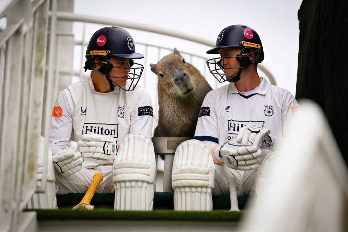 Hampshire Cricket tweet media