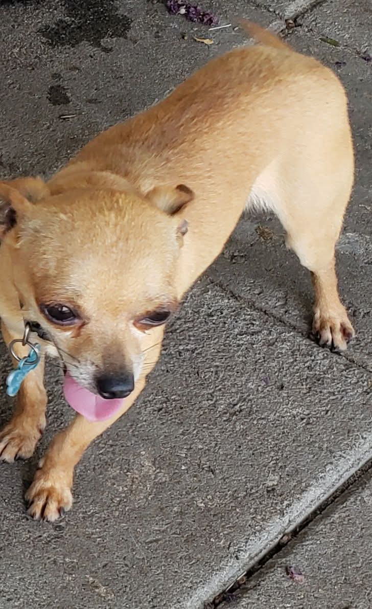 Sara Mary ⭐❤️ tweet media