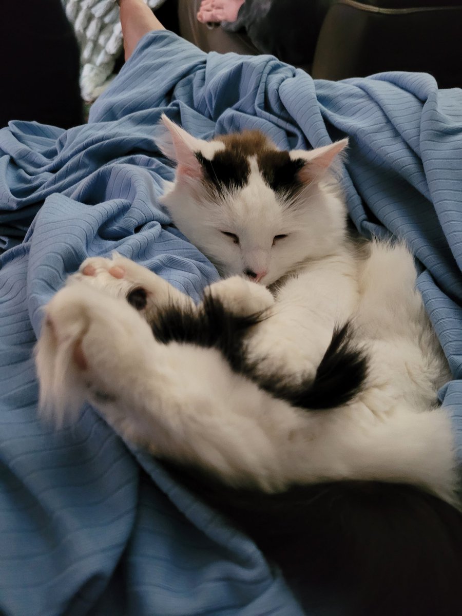 katie 💜 tweet media