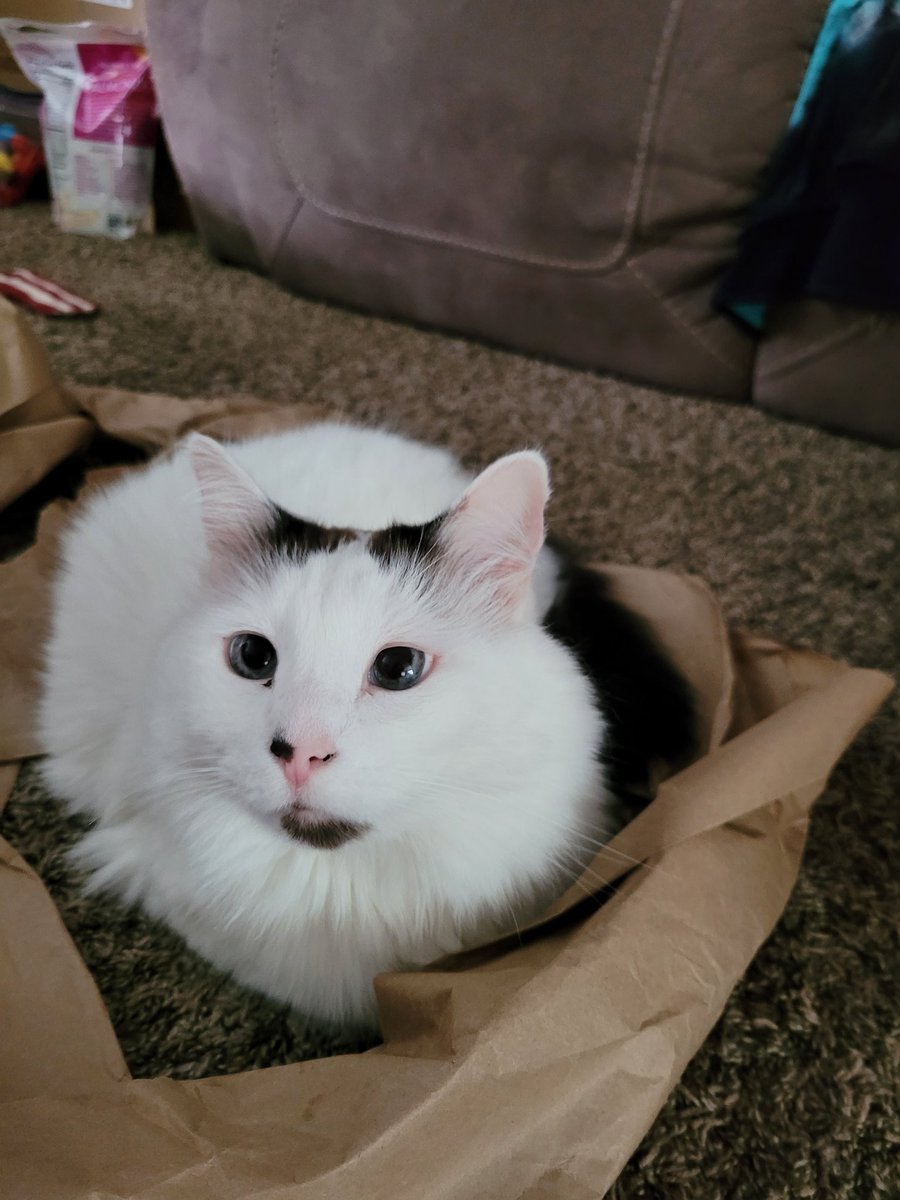 katie 💜 tweet media