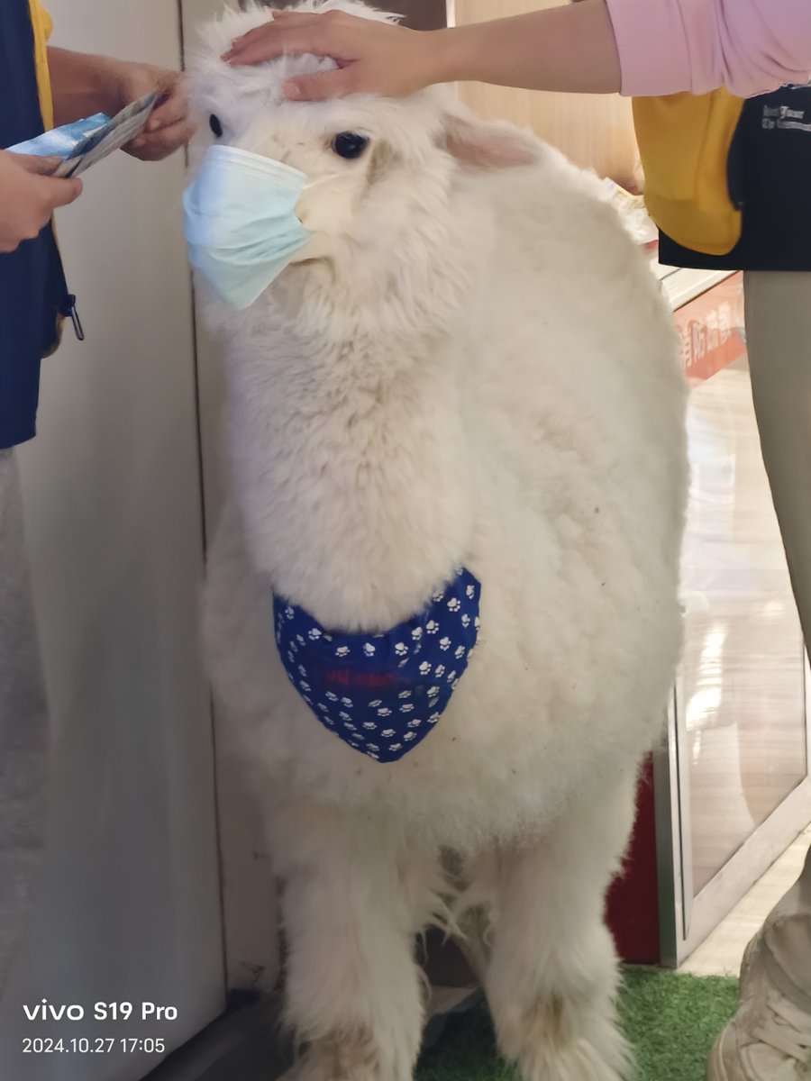 Aurangajab shaikh tweet media