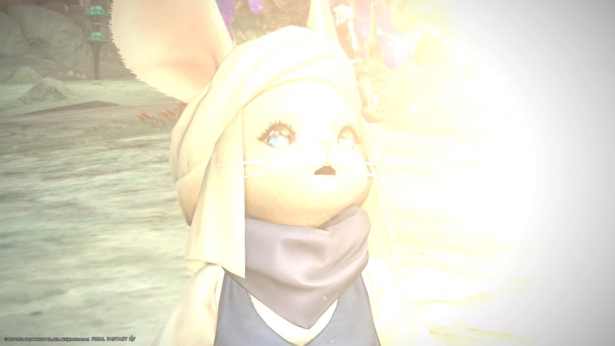 ミー🐾^._.^ 🐾 tweet media