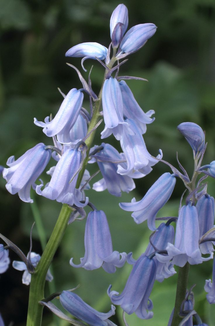 gece quinn-goldberg 🍌 tweet media