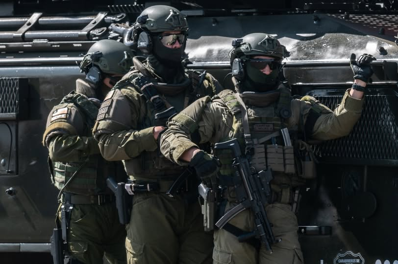 miluniposting tweet media