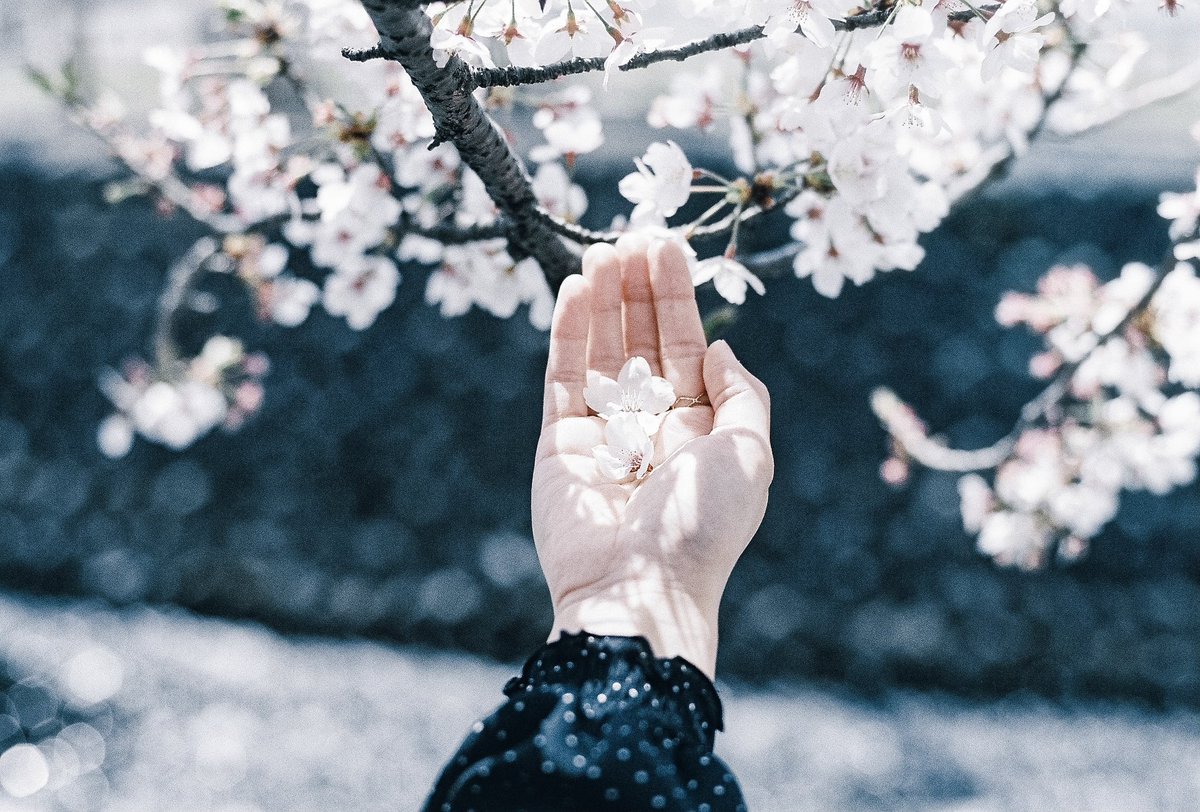 つーさん tweet media