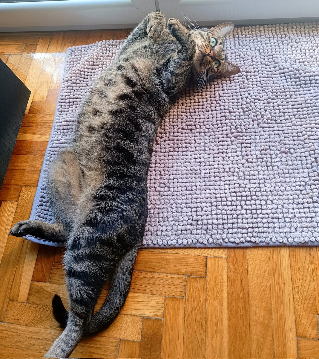 άι στην F(x) tweet media