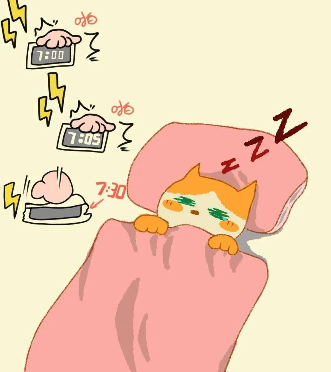 Shag Graff tweet media