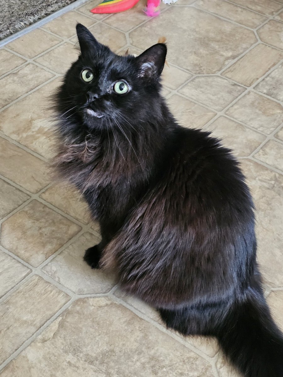 katie 💜 tweet media