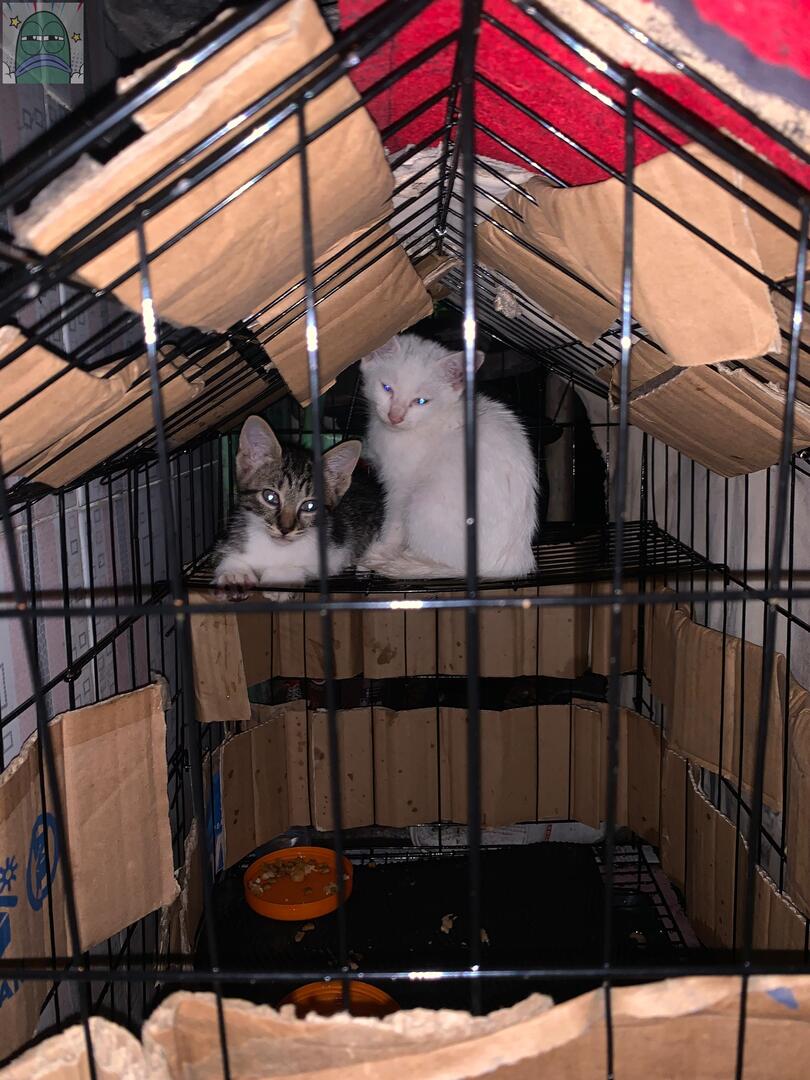 Tanyarlfes tweet media