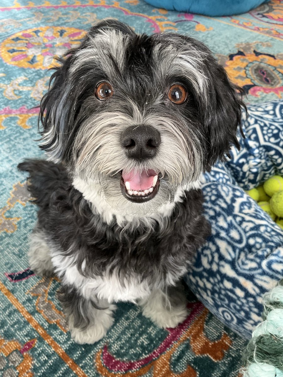 Jacky 🌞 tweet media