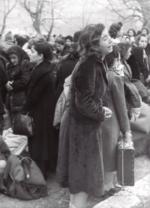 Auschwitz Exhibition tweet media