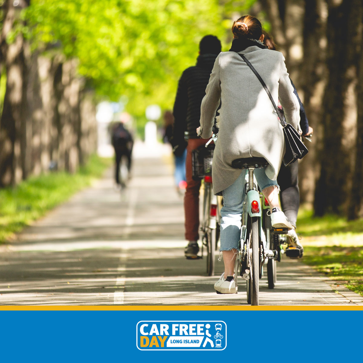 CarFreeDayLI tweet media