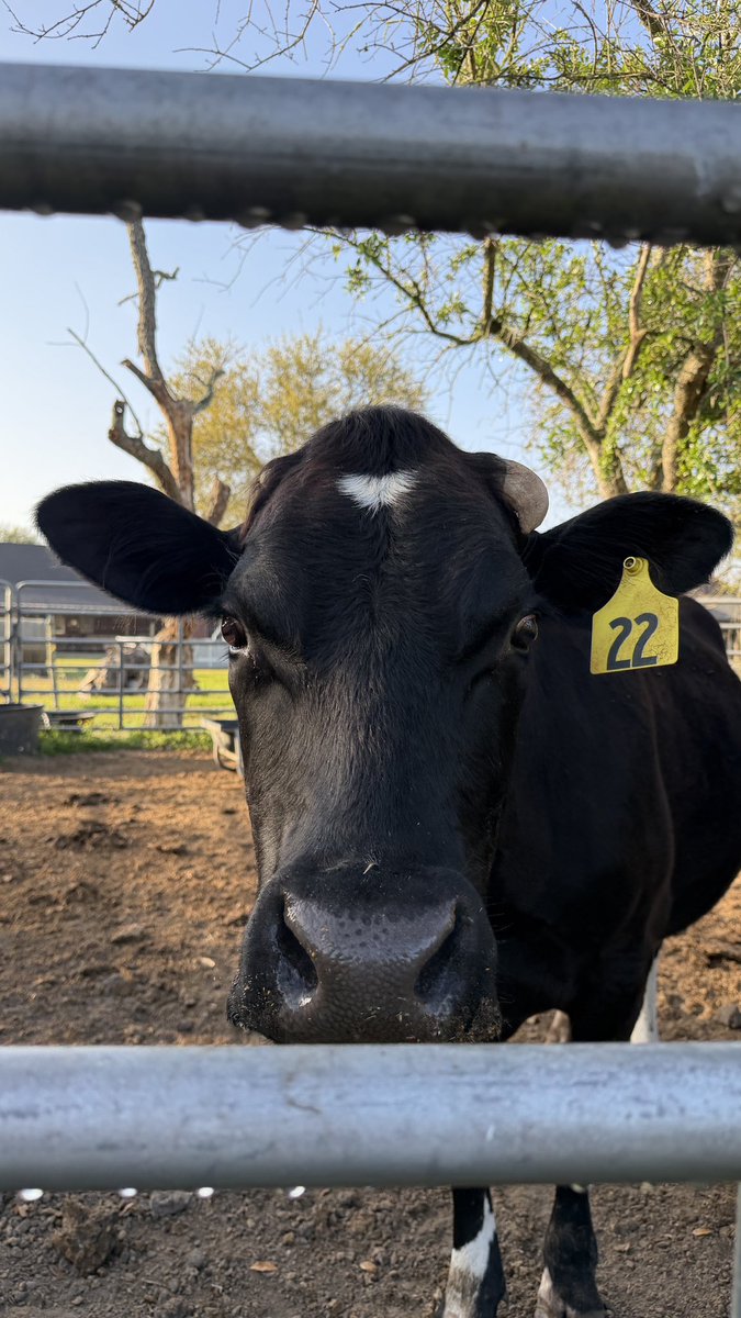 Good Ranchers tweet media