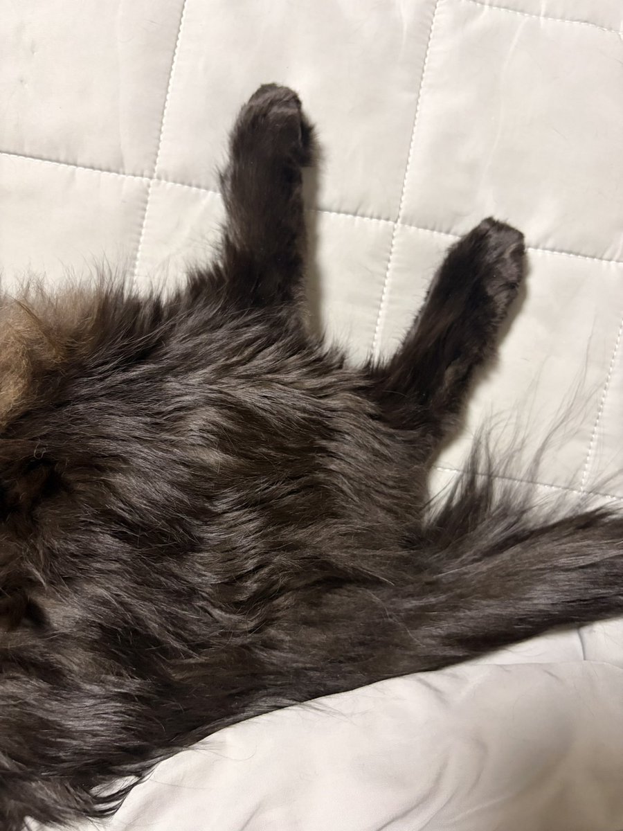 제로 콜라🥤 tweet media