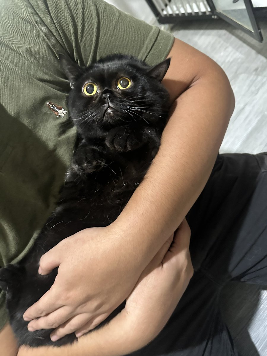 Keluarga Yuki tweet media