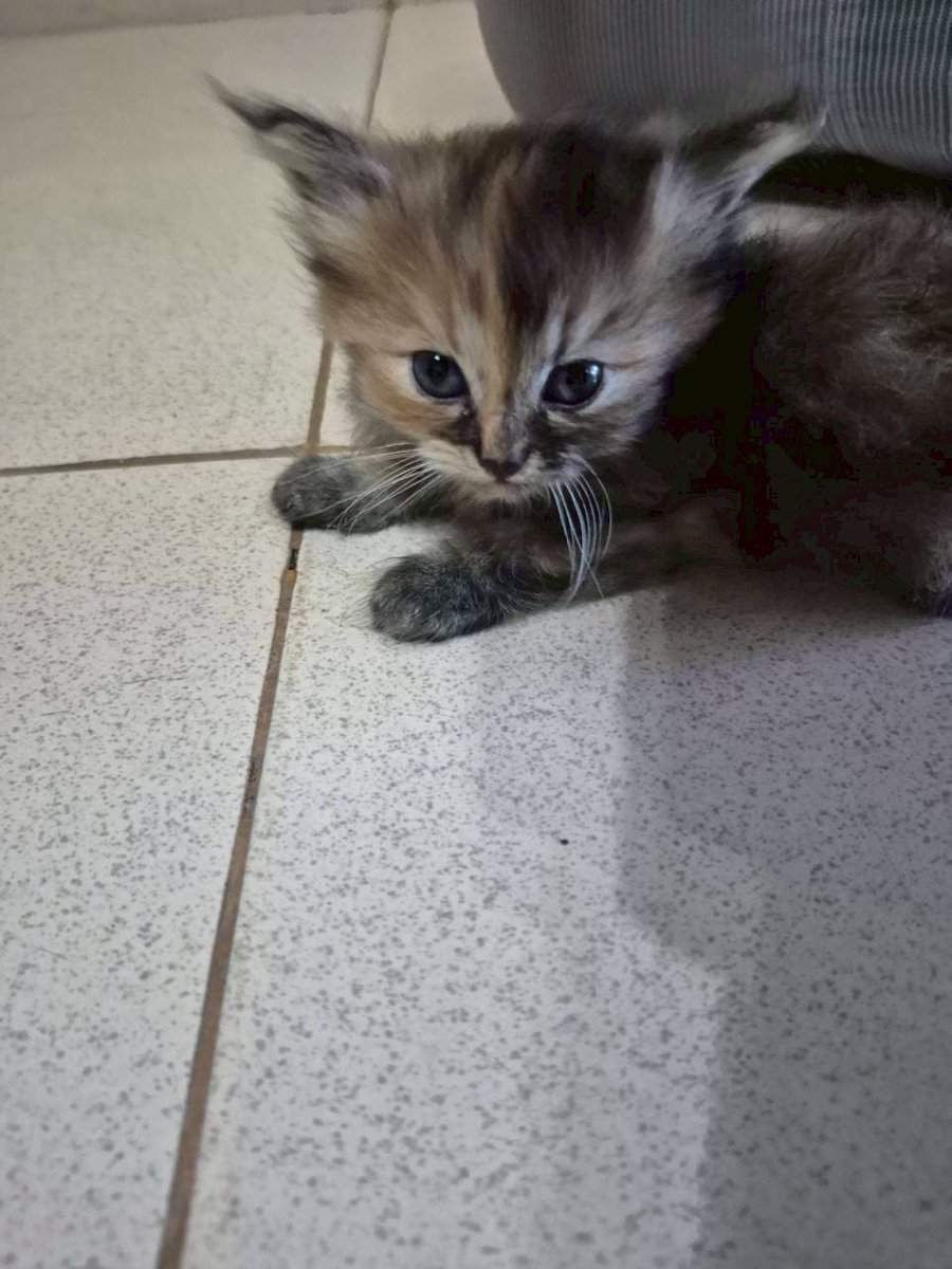 まっちゃ tweet media