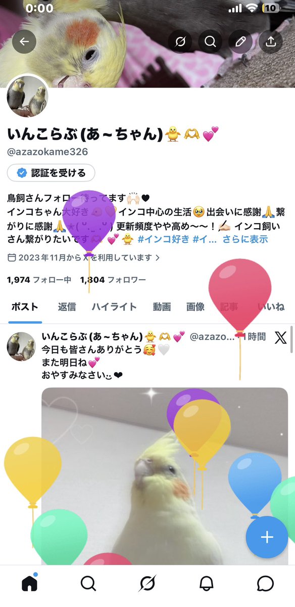 いんこらぶ(あ~ちゃん)🐥🫶💕︎︎ tweet media