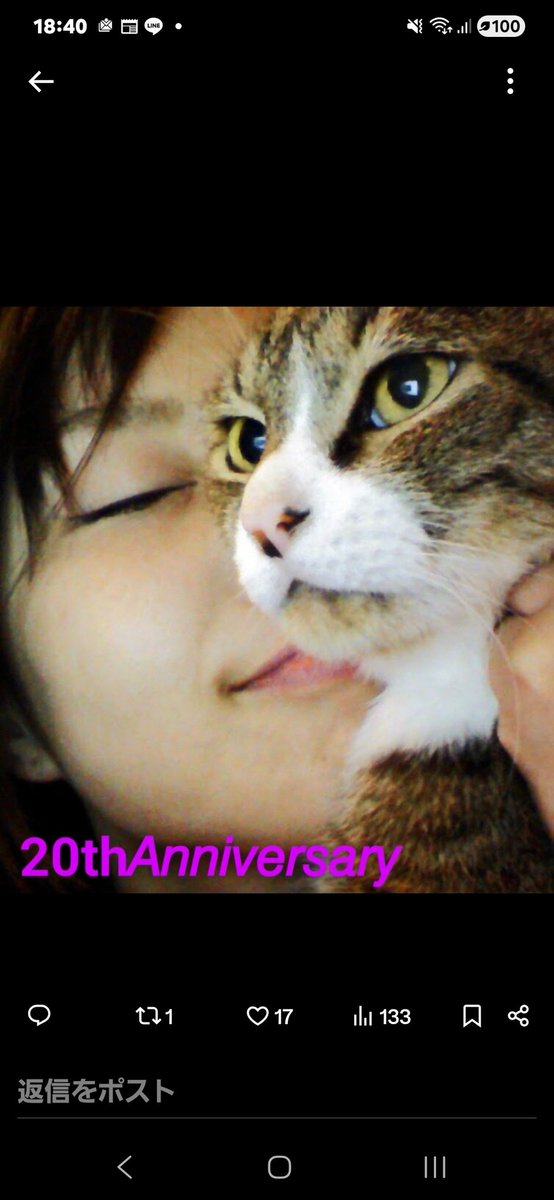 sakurapinoco's tweet photo. #猫
 #ハイシニア猫
 #思い出

急に君にとっても会いたくなったよ。
元気にしてるかい？
母ちゃんは元気だよ。
いつ見てもイケニャンですね笑 https://t.co/FcCZXIPOqV