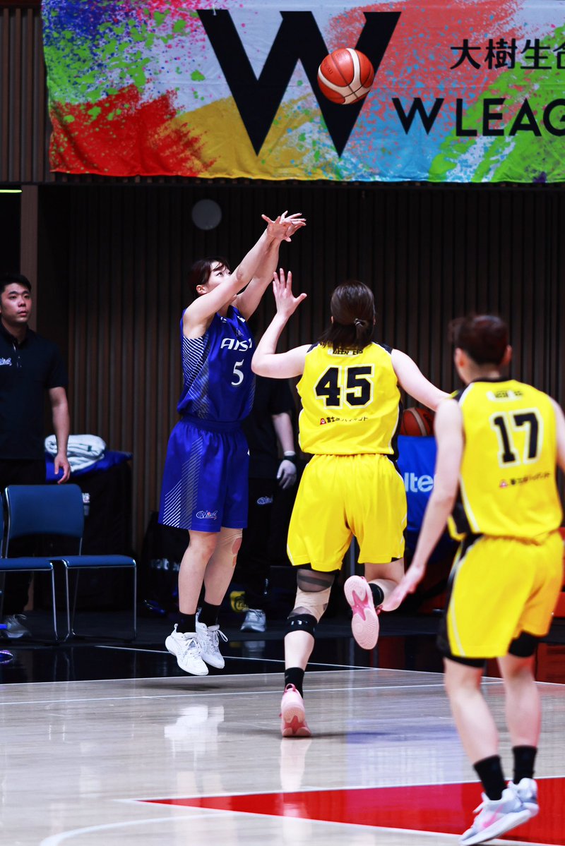 一匹猫 📸 tweet media