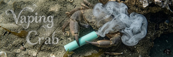 Zizzle 🤌 tweet media