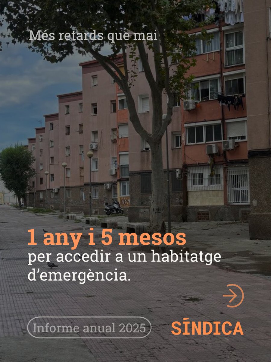 Síndic de Greuges de Catalunya tweet media