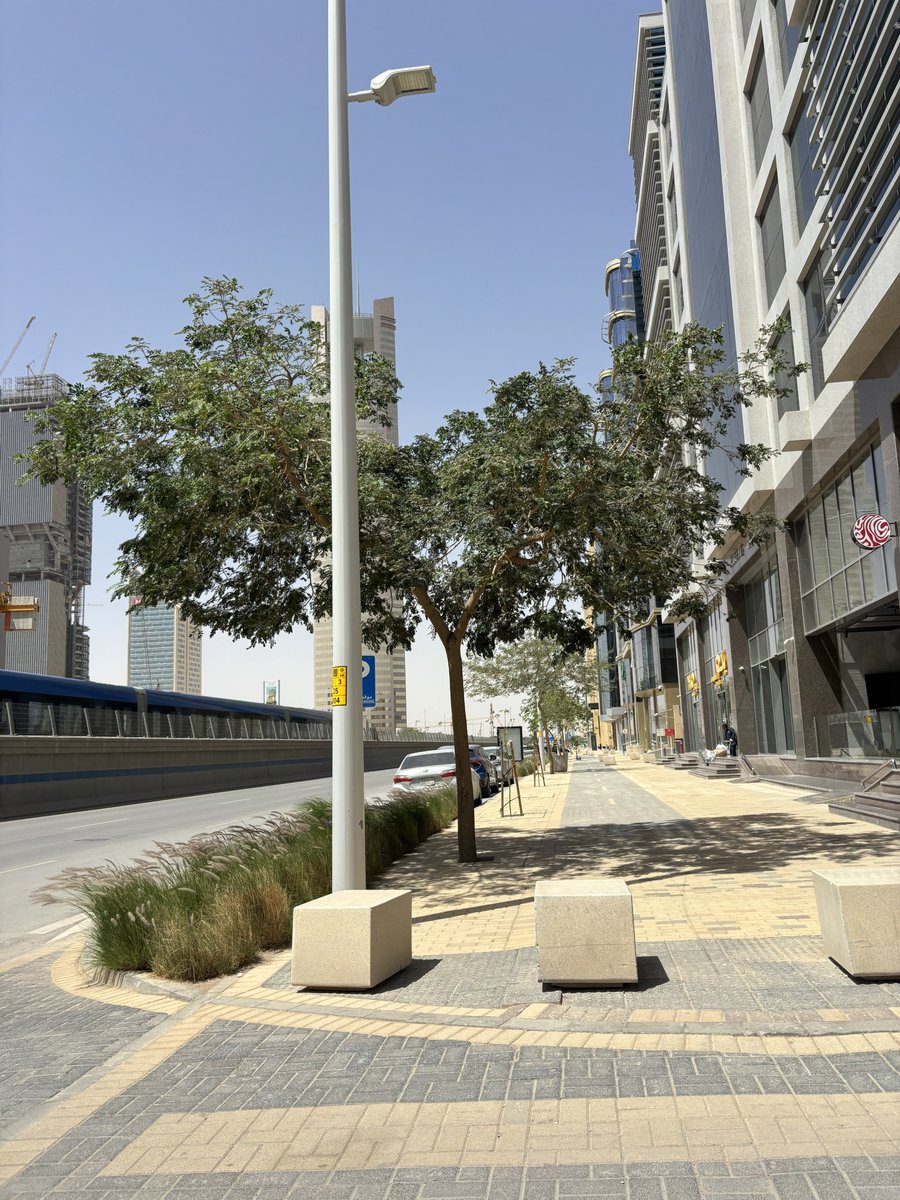 MSkyline tweet media