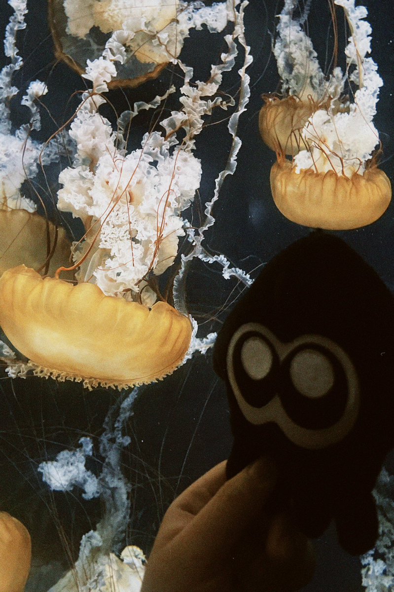 unknown ttt tweet media