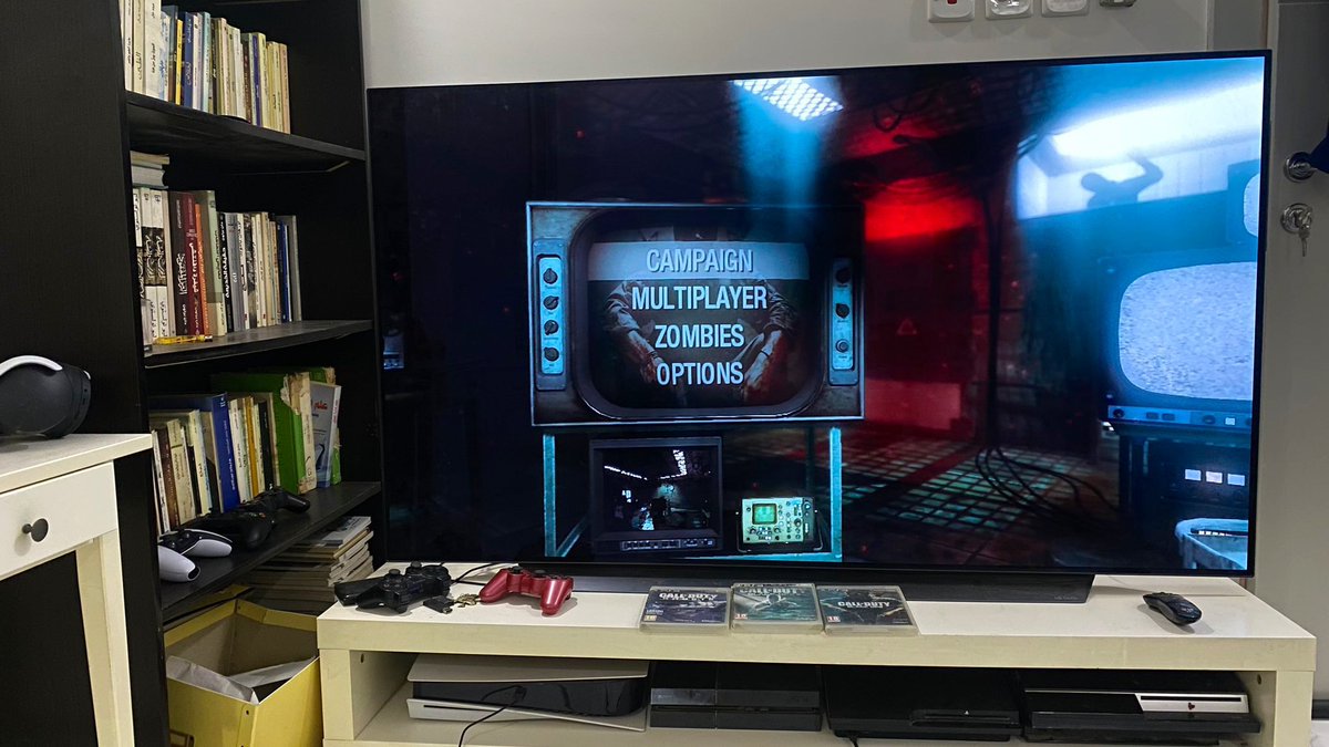 SHAMROKH tweet media