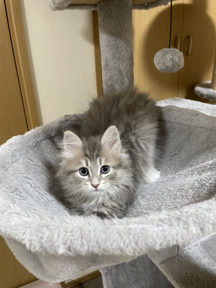 𝚈𝚞𝚞𝚗𝚊 tweet media