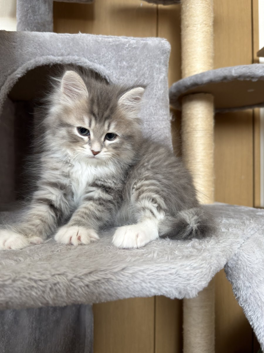 𝚈𝚞𝚞𝚗𝚊 tweet media