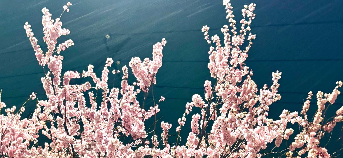 ᴷᵁᴿᴵᴹᴵ☺︎ tweet media