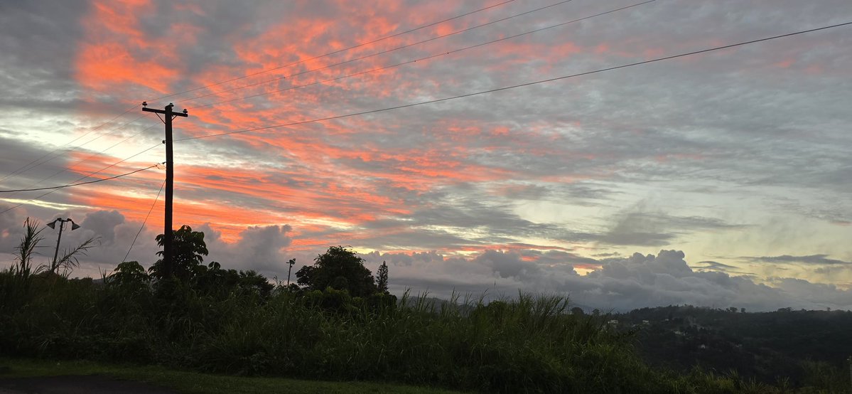 Yayi Soto📖 tweet media