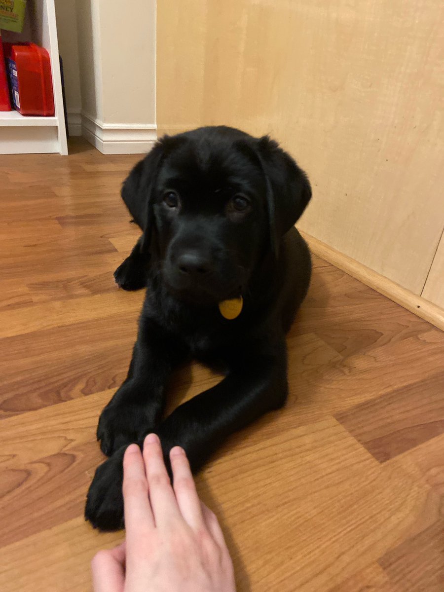 Vanessa🫀🖤 tweet media