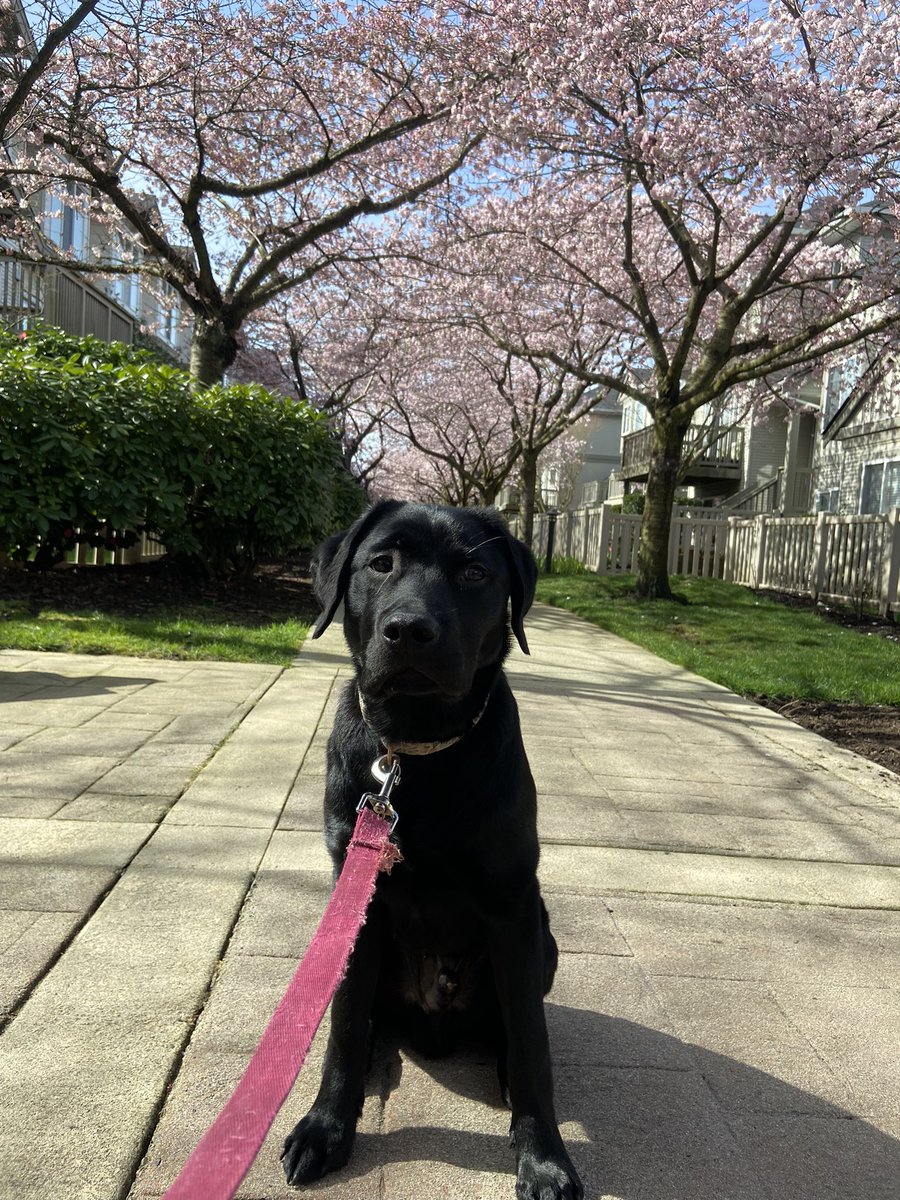 Vanessa🫀🖤 tweet media