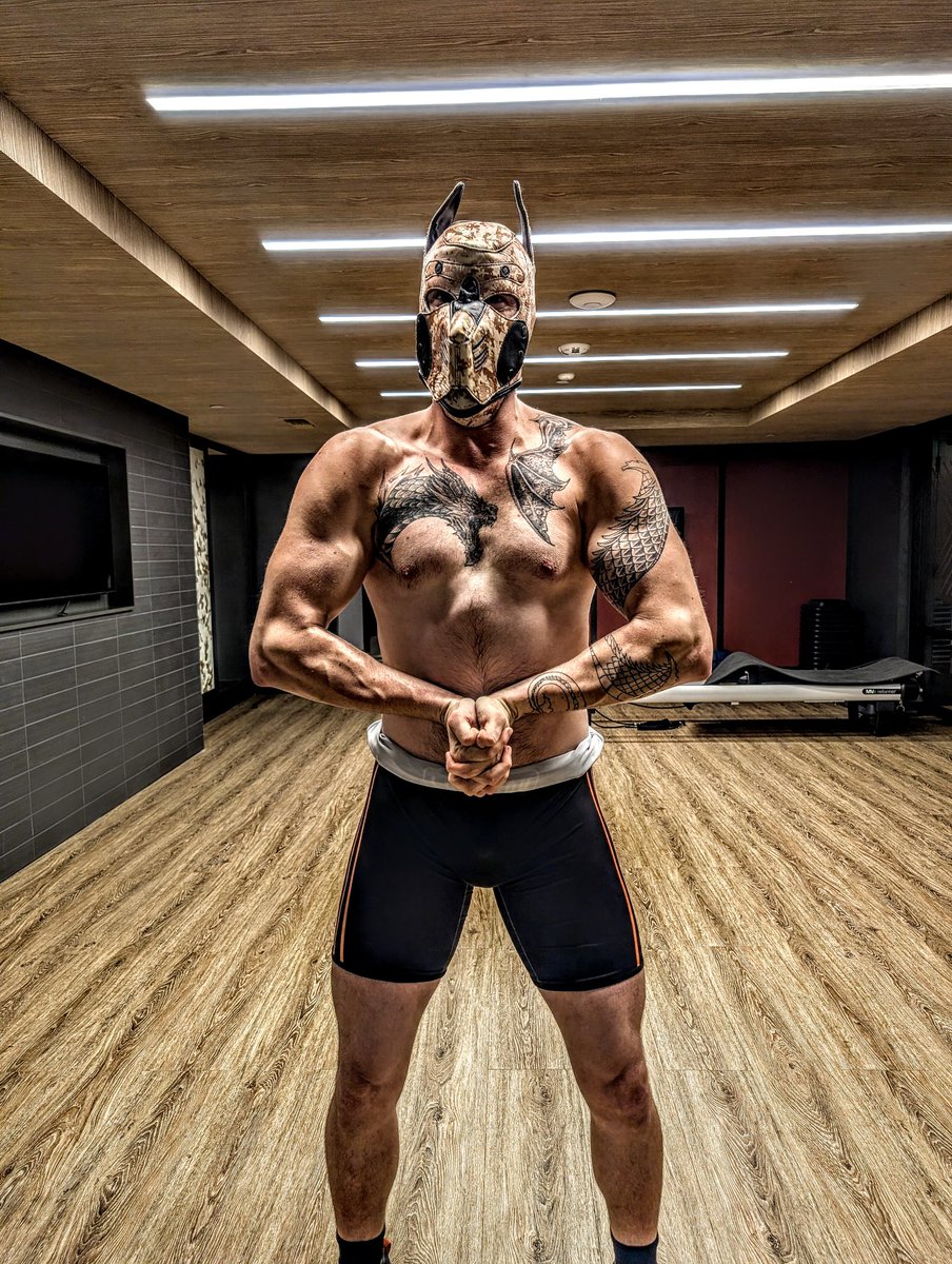 Alpha Pup Templar tweet media