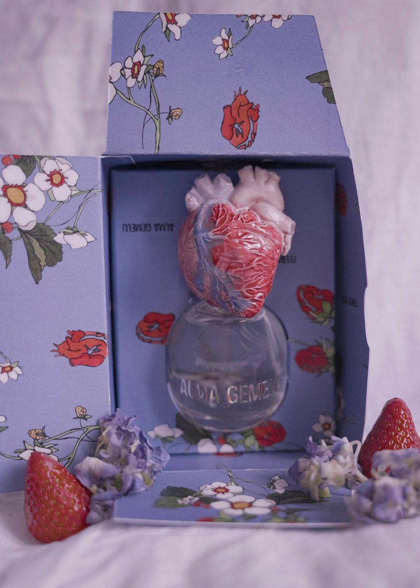 藤@スミレの香りを溺愛中 tweet media