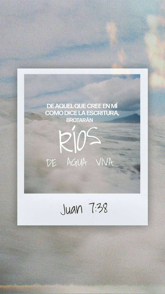 W.O.L.F. tweet media