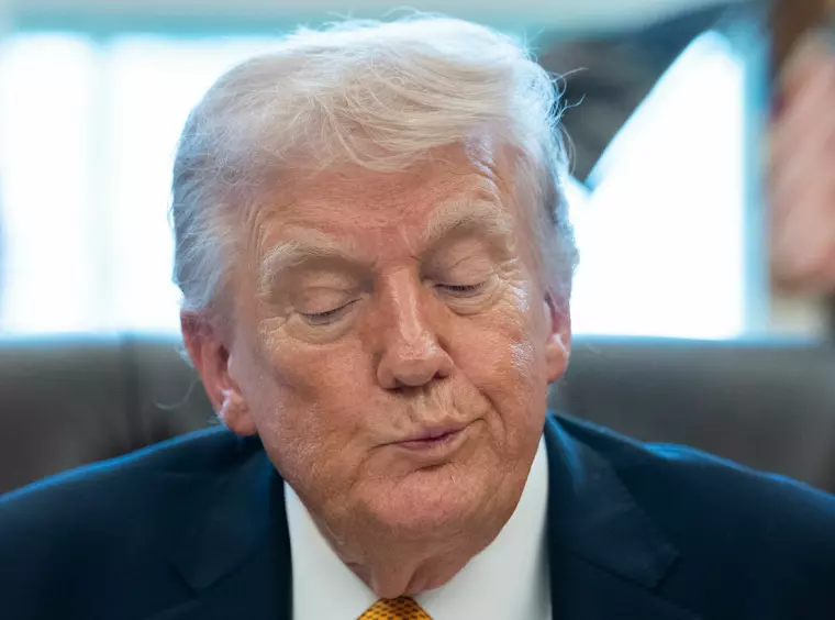 T. Zaphirax (Generative Visual Artist) tweet media