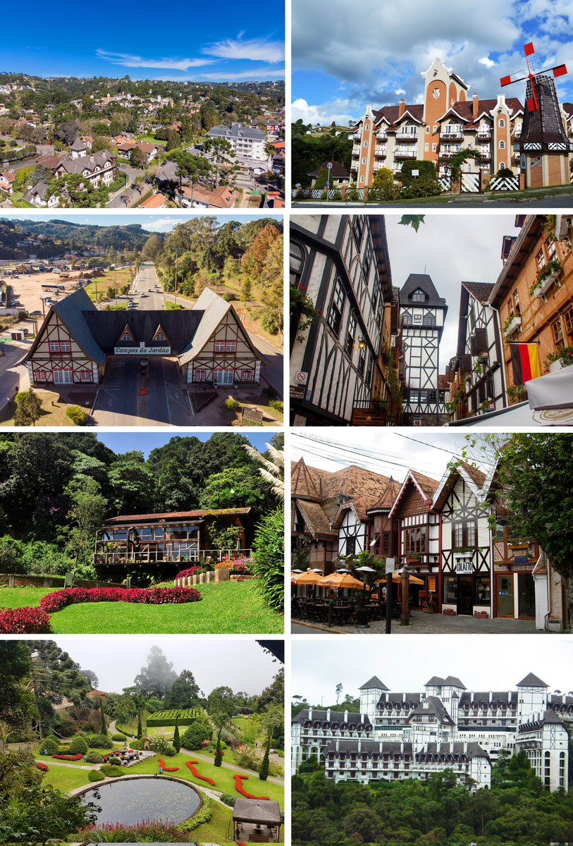 Novax Filipovic🐍🎖 tweet media