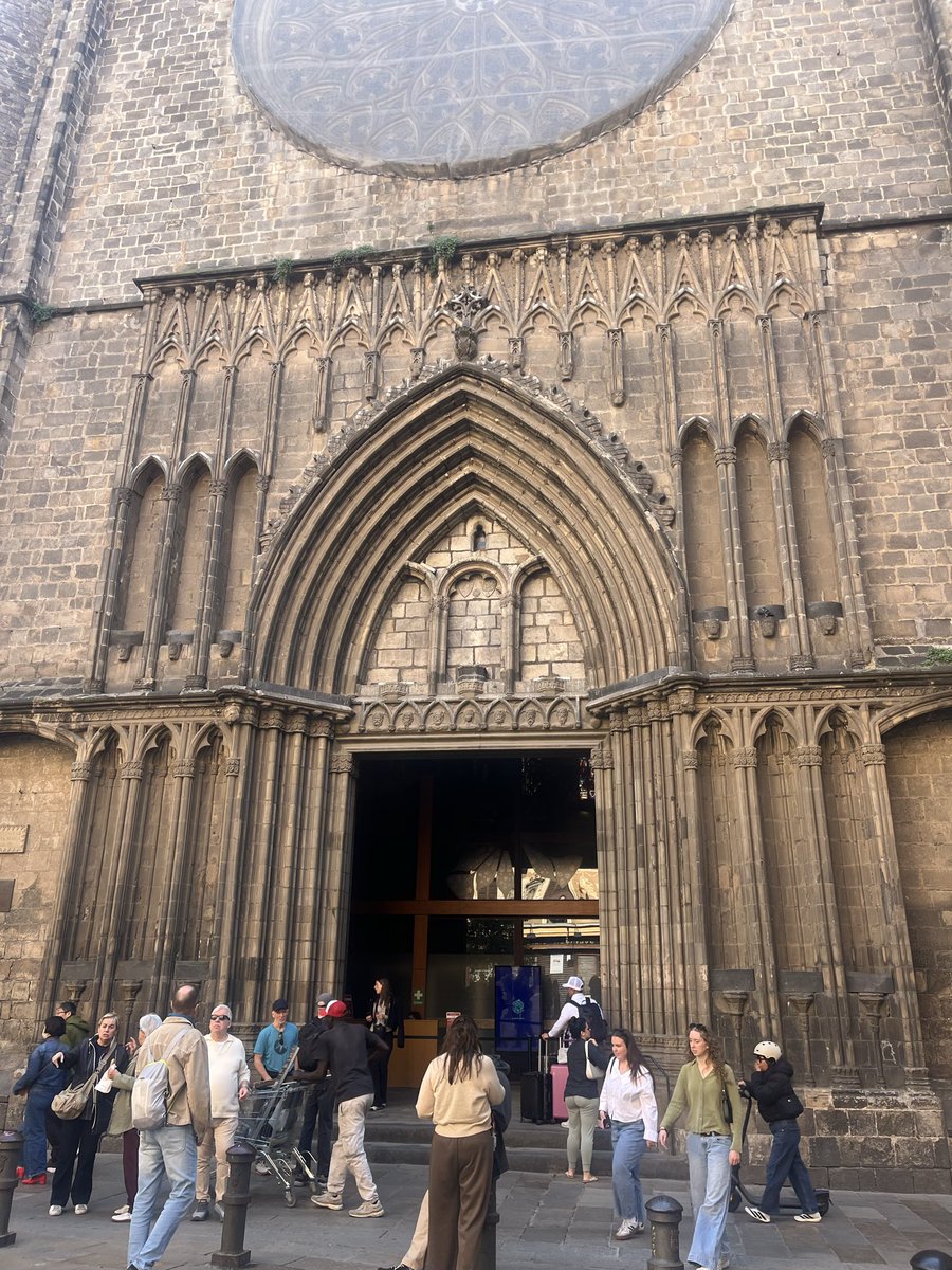 Beli Artigas tweet media