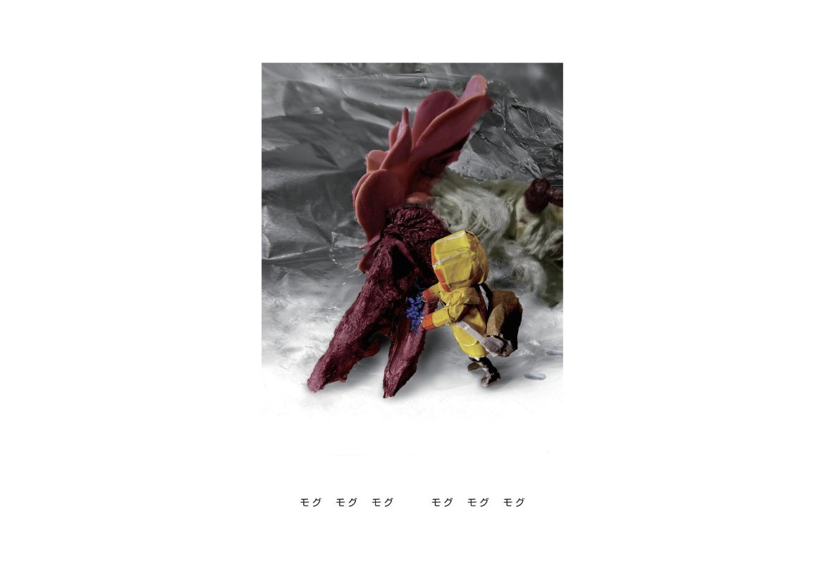 選択の森【公式】 tweet media