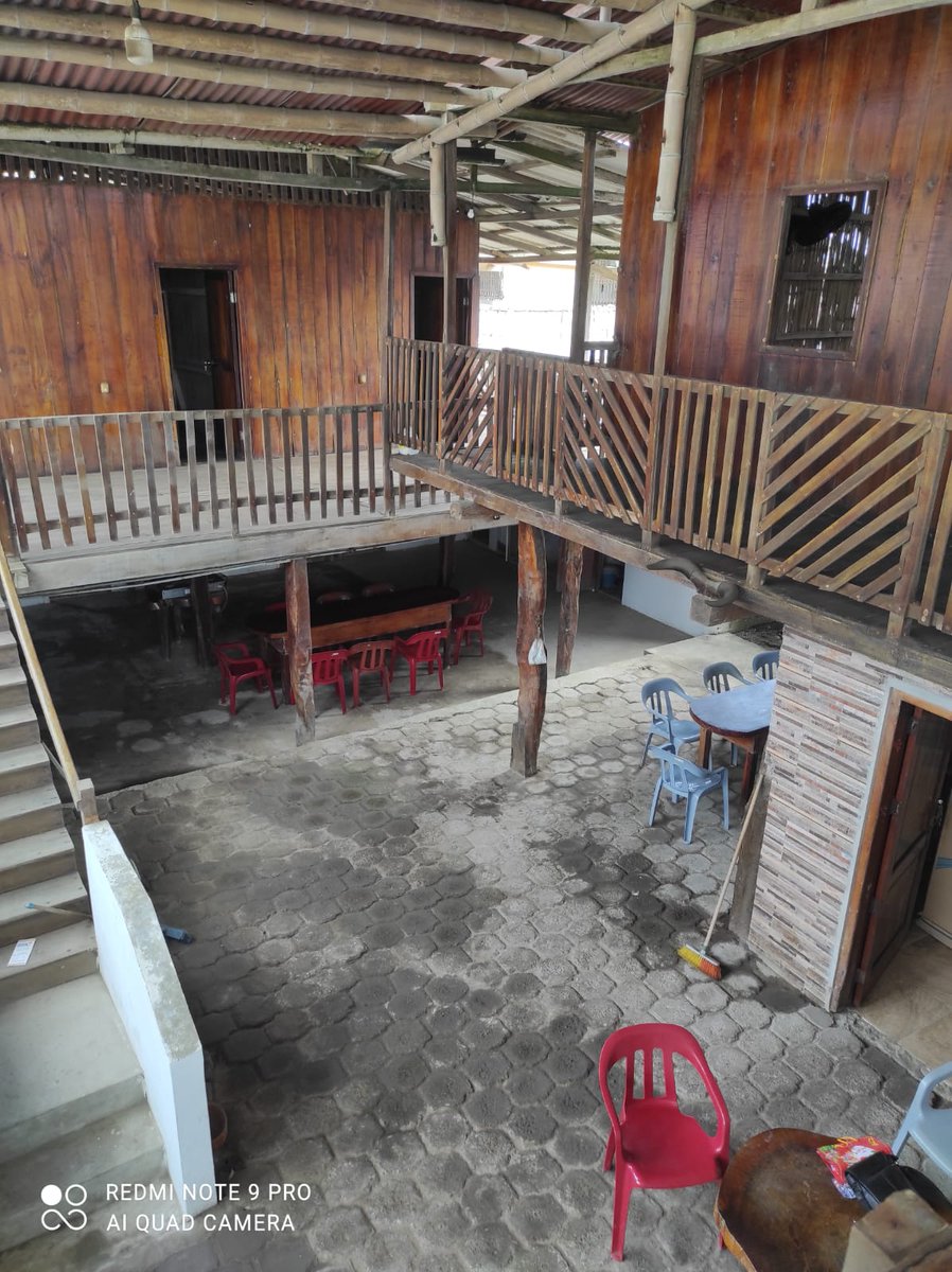 Freddy Zambrano فرِد tweet media