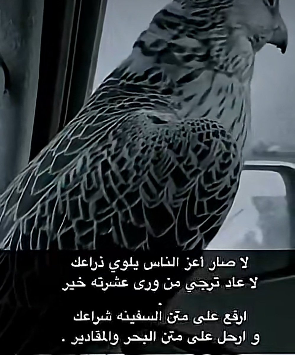 ابوسامي tweet media