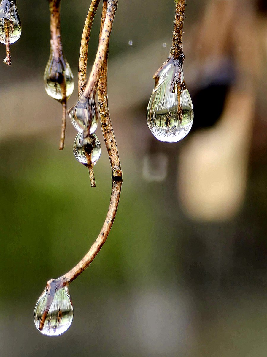 Enna Siala tweet media