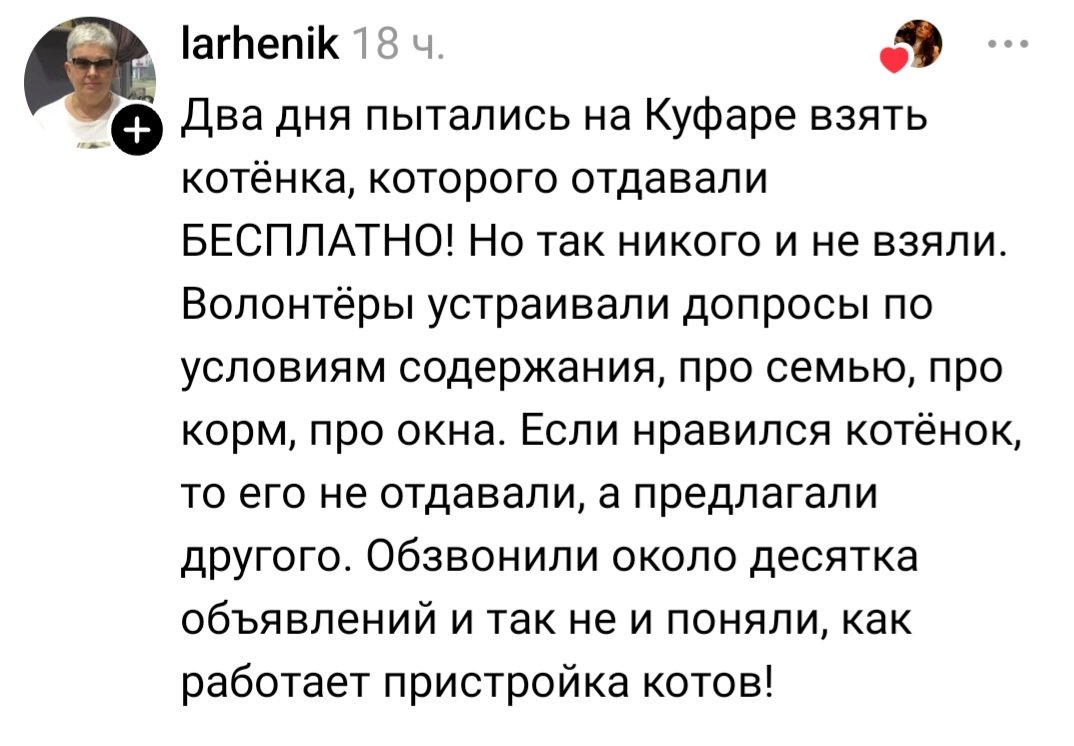 Мрак и котики 🐾 tweet media